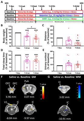 Washed Microbiota Transplantation Accelerates the Recovery of Abnormal Changes by Light-Induced Stress in Tree Shrews